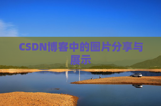 CSDN博客中的图片分享与展示